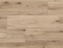 K2591 Oak Michigan Detroit 8mm
