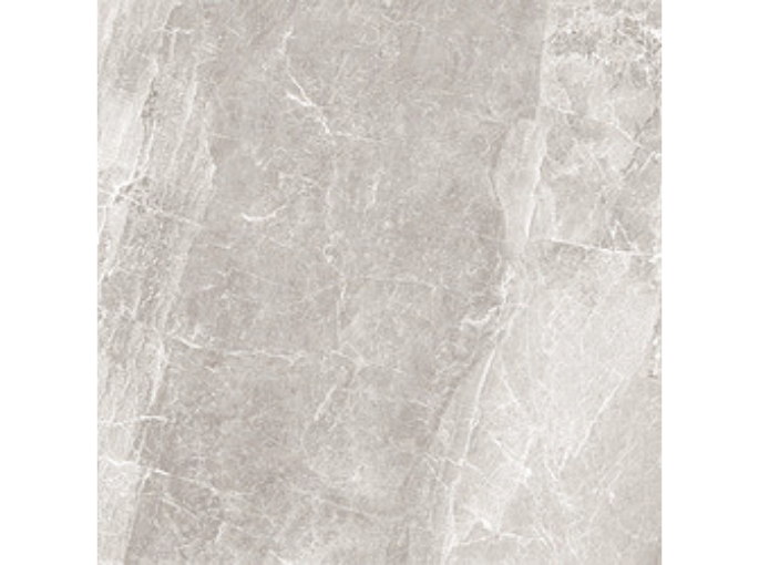 Cashmere Oyster 60x60