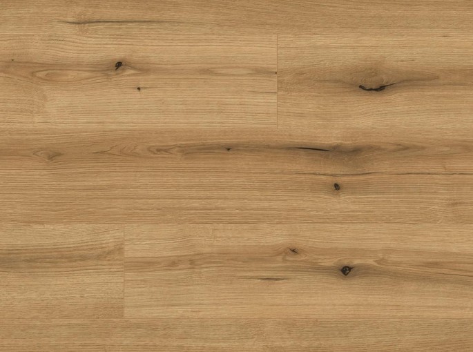 K5573 Oak Evoke Coast 10mm w4