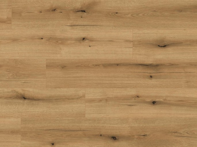 K5573 Oak Evoke Coast 10mm w4