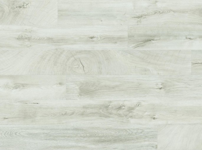 O251 Oak Fresco Snow , High Glossy 8mm w4 AQUA PRO