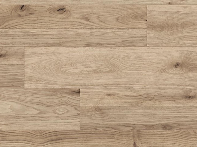K2591 Oak Michigan Detroit 8mm